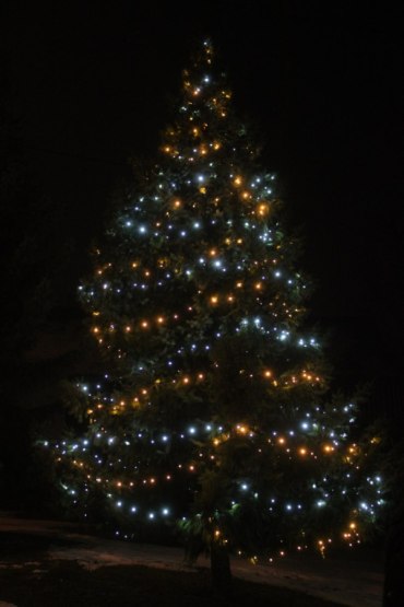 Anketa o nejhezčí vánoční strom Jičínska