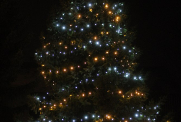 Anketa o nejhezčí vánoční strom Jičínska