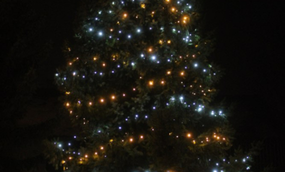 Anketa o nejhezčí vánoční strom Jičínska