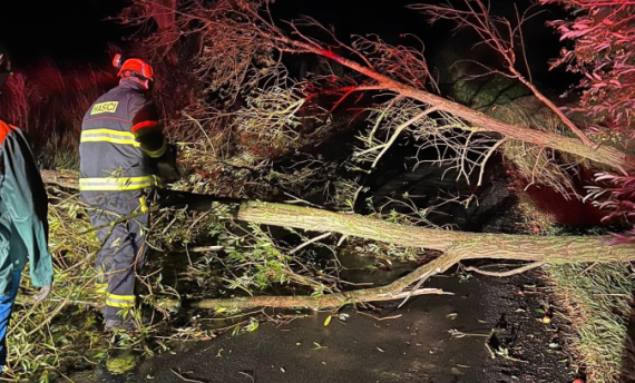 Odstranění spadlého stromu 
