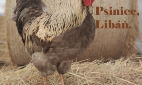 Jarní Jarmark - Zahrady Psinice 