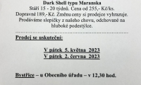 Prodej slepiček