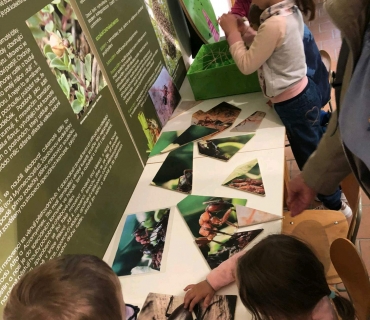 Dobrovické muzeum – program Nech brouka žít