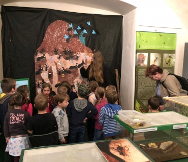 Dobrovické muzeum – program Nech brouka žít