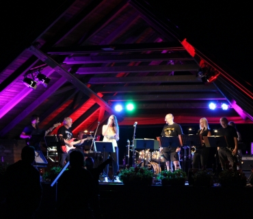 <p>Globus band<br data-mce-bogus=1></p>