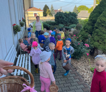 Návštěva lesa 2023