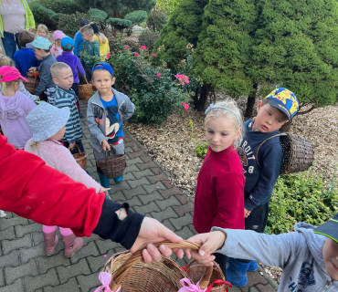 Návštěva lesa 2023