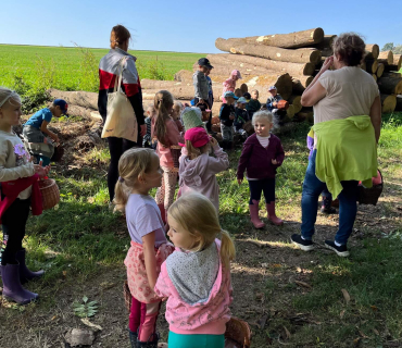 Návštěva lesa 2023