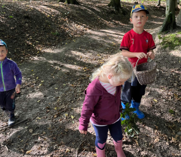 Návštěva lesa 2023