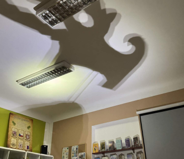 Žárovka objevuje Bystřici - čtení s Andreou Popprovou