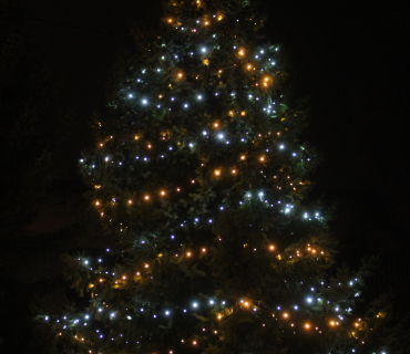 První adventní neděle 