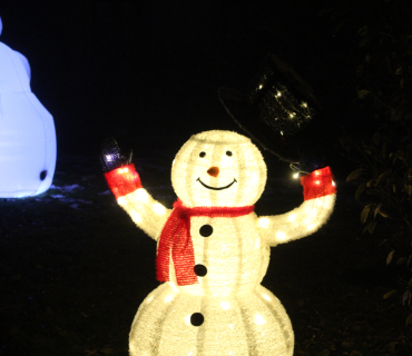 První adventní neděle 