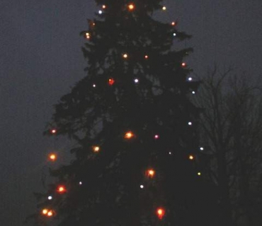 <p>Rozsvícení vánočního stromu</p>