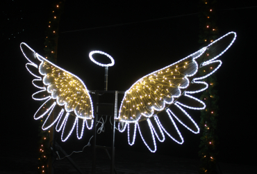 První adventní neděle 