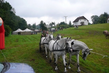 Country odpoledne s koňmi