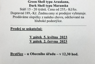 Prodej slepiček Prodej slepiček